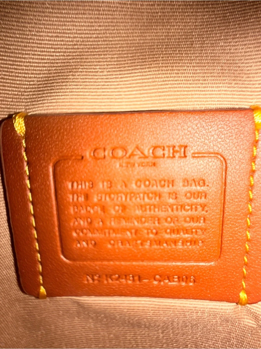 Coach Heart Cherry Print Crossbody Bag
